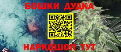 мдпв Камышлов
