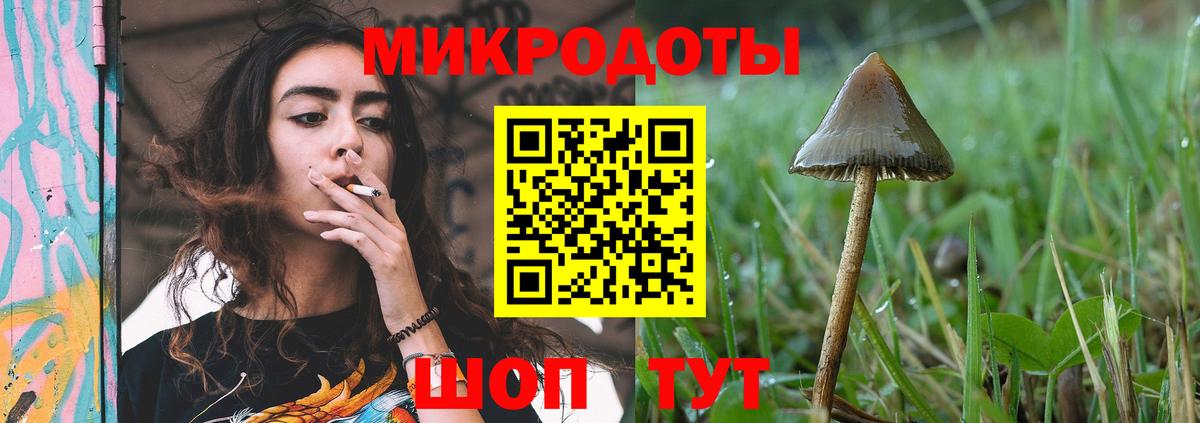 Ейск  Галлюциногенные грибы MAGIC MUSHROOMS  Вход с VPN  Псилоцибиновые грибы мицелий 